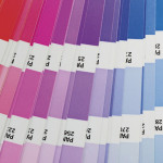 Cómo elegir el color perfecto para tu marca